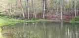 3672 Blue Sulphur Pike - Photo 9