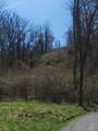 7.28 Acres G.W. Lane - Photo 2