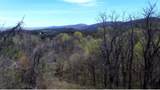 7.28 Acres G.W. Lane - Photo 3