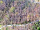 7.28 Acres G.W. Lane - Photo 4