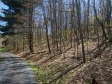 7.28 Acres G.W. Lane - Photo 6
