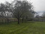 1123 Douthards Creek Rd - Photo 10