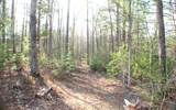 445 Rider Gap Road - Photo 25
