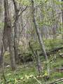 3358 Zenith Rd - Photo 51