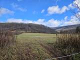  Tract 4 Big Spring Elk - Photo 11