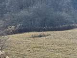 400 Old Huttonsville Trpk/Lot C - Photo 10