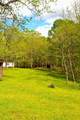 4250 Julia Rd - Photo 18