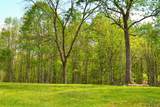 4250 Julia Rd - Photo 24