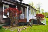 4250 Julia Rd - Photo 4