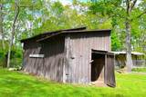 4250 Julia Rd - Photo 9