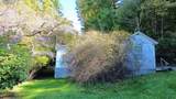 6290 Hollywood Glace Rd - Photo 17