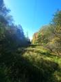 6290 Hollywood Glace Rd - Photo 33