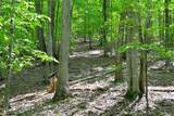  Germany Rd - Photo 12