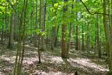  Germany Rd - Photo 21