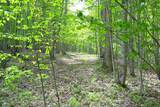  Germany Rd - Photo 8