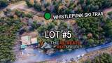 246 Red Spruce Dr - Photo 1