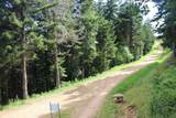246 Red Spruce Dr - Photo 11
