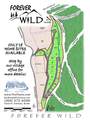 10 Forever Wild - Photo 1