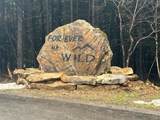 10 Forever Wild - Photo 2