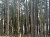 10 Forever Wild - Photo 4