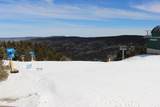 302 Top Of The World Dr - Photo 14