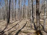 6183 Cass Road - Photo 12