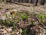6183 Cass Road - Photo 13
