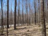 6183 Cass Road - Photo 15