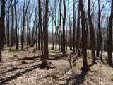 6183 Cass Road - Photo 6