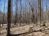 6183 Cass Road - Photo 7