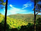 1017-1021 Sunset Mountain Village - Photo 13