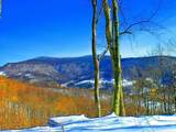 1017-1021 Sunset Mountain Village - Photo 15