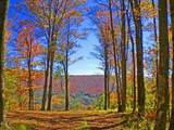1017-1021 Sunset Mountain Village - Photo 20
