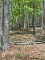  Cove Creek Rd - Photo 1