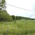 885 W. Woodrow Branch Road - Photo 10