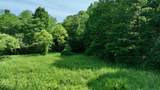  Morris Branch Road - Photo 10