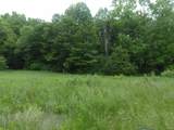  Morris Branch Road - Photo 2