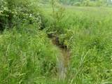  Morris Branch Road - Photo 3