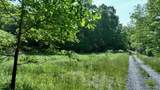  Morris Branch Road - Photo 9