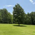 59 Bardstown Ln - Photo 11