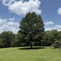 59 Bardstown Ln - Photo 15