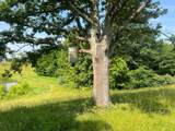 2359 White Tree Hill Road - Photo 43