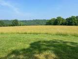 2358 White Tree Hill Road - Photo 15