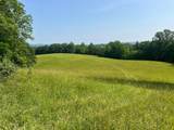 2358 White Tree Hill Road - Photo 2