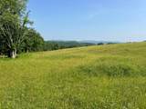 2358 White Tree Hill Road - Photo 4