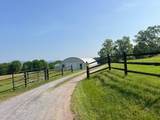 2358 White Tree Hill Road - Photo 9