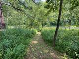 3981 Coleman Cliff Rd - Photo 50