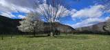 38162 Seneca Trl. - Photo 19