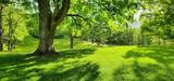 6008 Raders Valley Rd - Photo 13