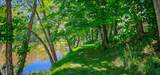 635 Burnside Rd - Photo 47
